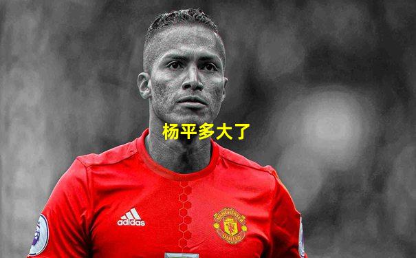 杨平多大了