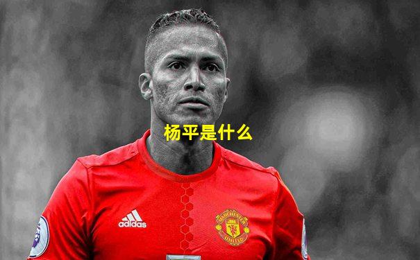 杨平是什么