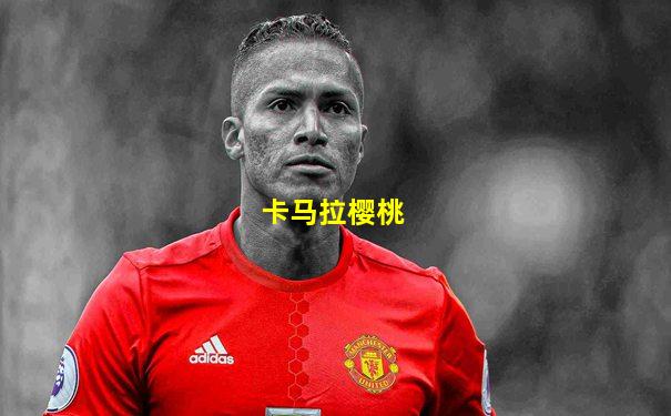 卡马拉樱桃