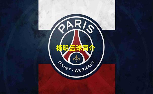 杨明篮球简介