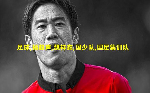 足球,杨超声,魏祥鑫,国少队,国足集训队